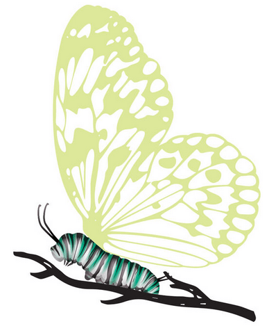 Tatuaje temporal de oruga con mariposa que brilla en la oscuridad