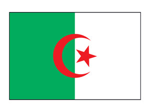 Algerien Flagge Tattoo