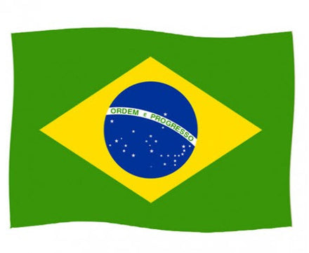 Tatuagem Bandeira do Brasil
