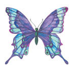 Papillon Tattoo