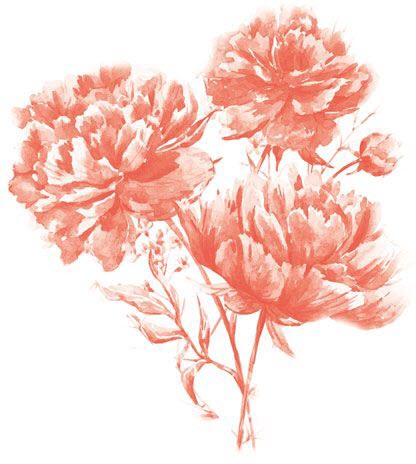 Coral Flower Carnations Tattoo