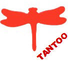 Libelle Tantoos (20 Sonne Tattoo Aufkleber)