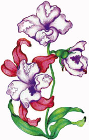 Frail Flowers Tattoo