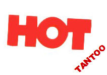 Hot Tantoos (20 Sonne Tattoo Aufkleber)