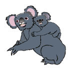 Koala & Bébé Petit Tattoo