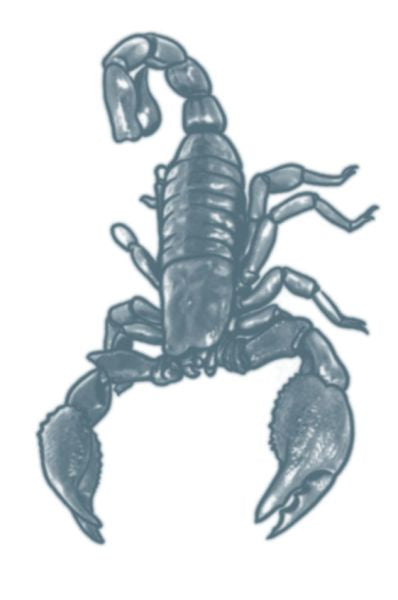 Scorpion Prison Tattoo