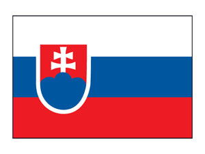 Slowakei Flagge Tattoo