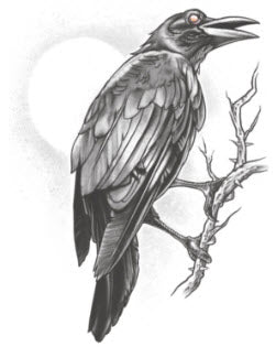 Le Corbeau Tattoo