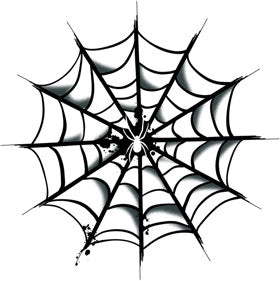 Weiße Spinne Im Web Tattoo