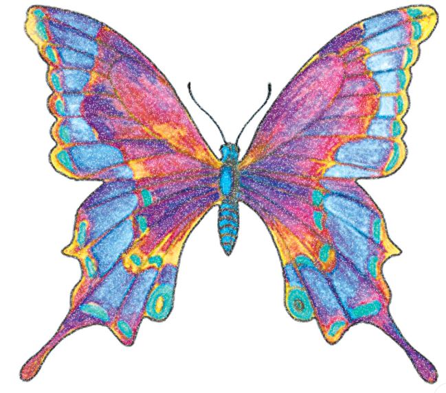 Papillon Extatique Tattoo