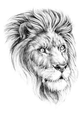 Großer realistischer Löwe Temporäres Tattoo