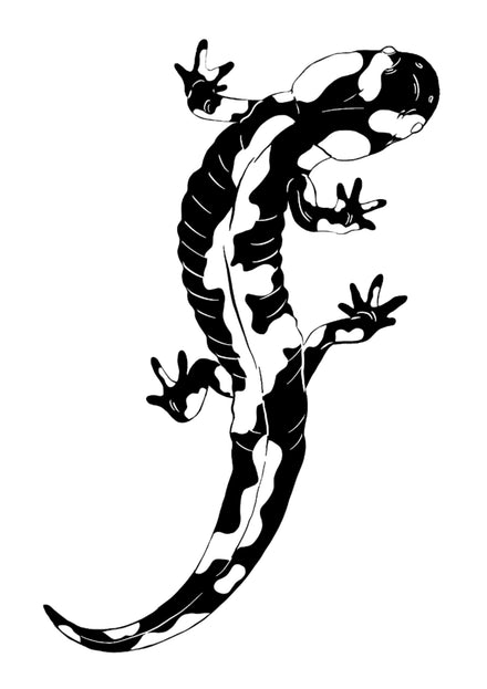 Tribal Vuursalamander tattoo