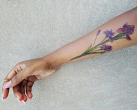 Tatuaje temporal Iris de acuarela