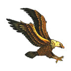 Attacking Eagle Tattoo