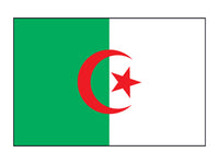 Algeria Flag Tattoo