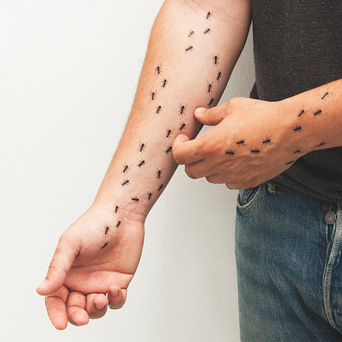 Formigas - Tattoonie (4 Tatuagens)