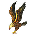 Auffallende Adler Tattoo