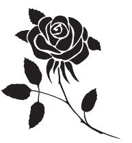 Rose Noire Tatouage