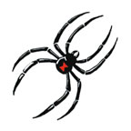 Spider Black Widow Tattoo