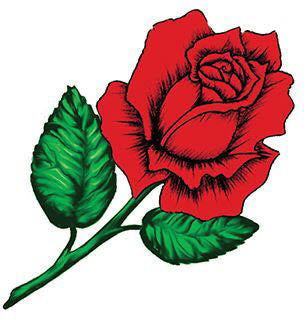 Tatuagem Rosa A Florescer
