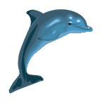 Small Dolphin Tattoo