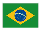 Tatuagem Bandeira do Brasil