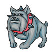 Bouledogue Tattoo