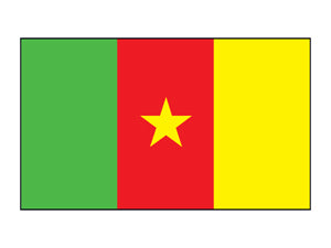 Tatuaje De La Bandera De Camerún