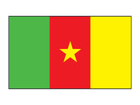 Tatuagem Bandeira dos Camarões