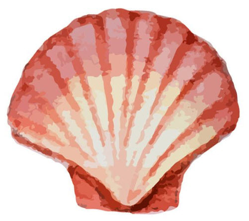 Coral Seashell Tattoo