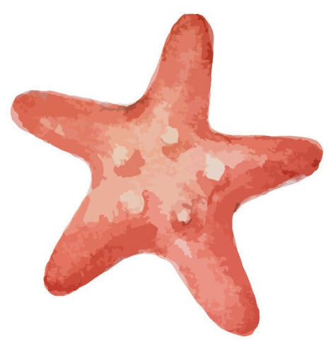 Coral Starfish Tattoo