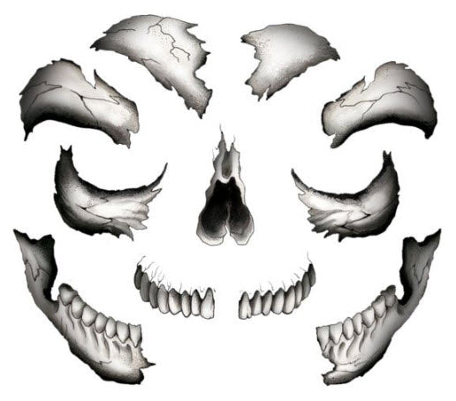 Creepy Skull Costume Face Tattoo