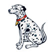 Dalmatiër Tattoo