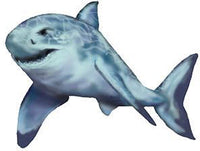 Requin Dangereux Tatouage