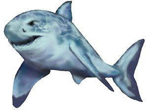 Requin Dangereux Tatouage