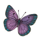 Papillon Deep Purple Tattoo