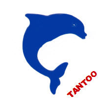 Delphin Tantoos (20 Sonne Tattoo Aufkleber)