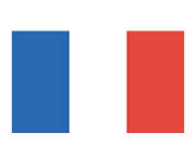Französische Flagge Tattoo