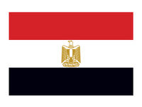 Egypt Flag Tattoo