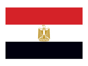 Tatuaje De La Bandera De Egipto