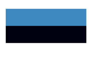 Estland Flagge Tattoo