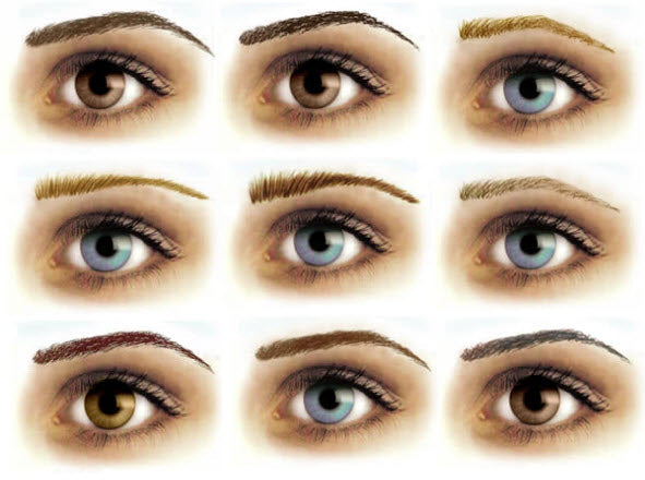 Removable Eyebrows Sample Pack Tattoos
