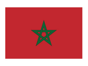 Morocco Flag Tattoo