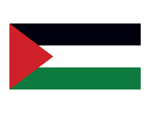 Palestina Vlag Tattoo