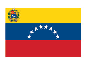 Venezuela Flag Tattoo