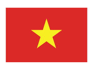 Vietnam Vlag Tattoo