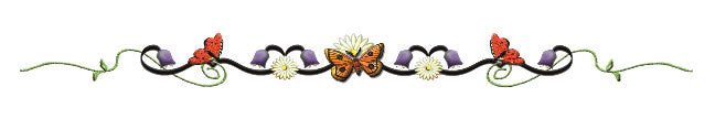 Bracelet Papillon & Fleurs Tattoo
