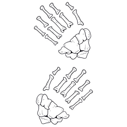 Skeleton Hand Bones Tattoo