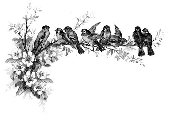 Vogels Op Een Tak Tattoo