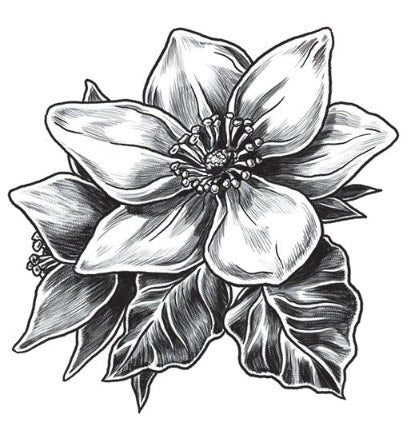 Tatuaggio Di Magnolia Grigia